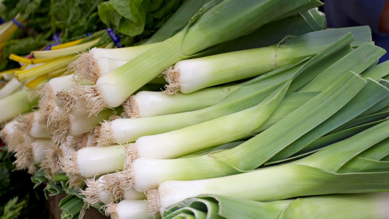 Leek