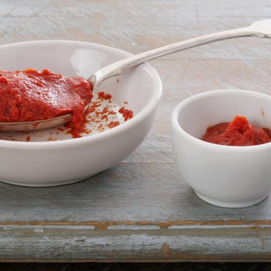 11 Tomato Puree Substitutes