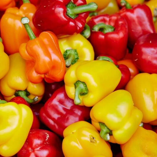 12 Best Paprika Substitutes