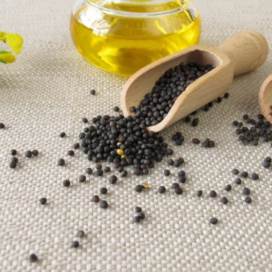 3 Canola Oil Substitutes