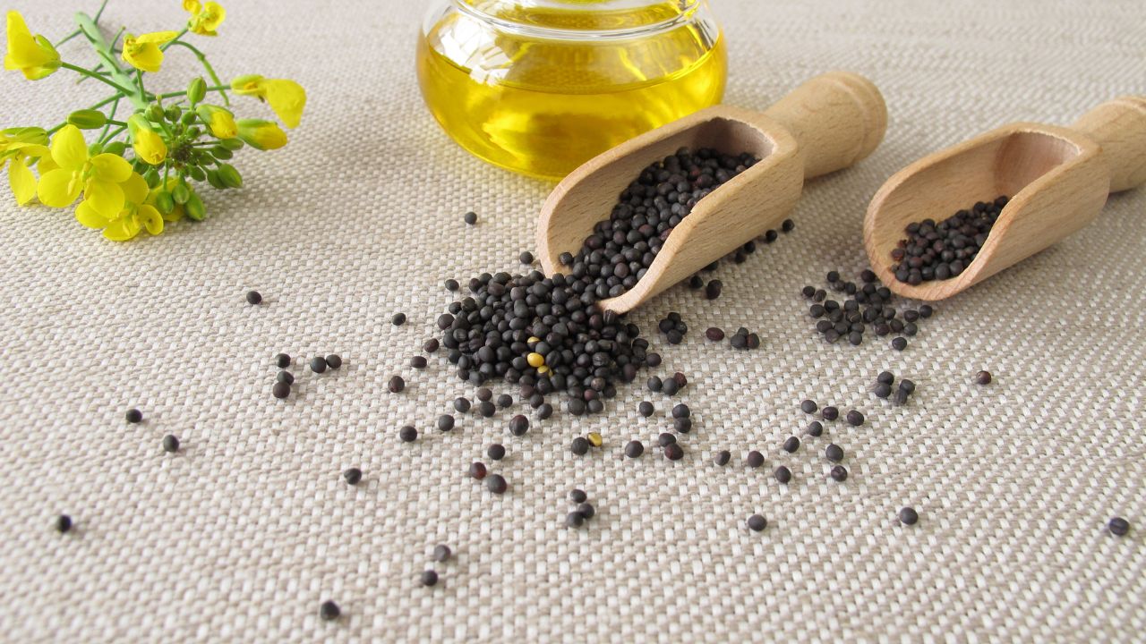 3 Canola Oil Substitutes