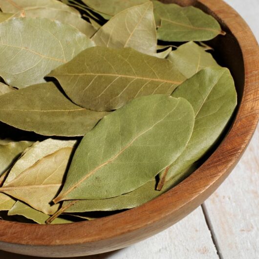 4 Fantastic Bay Leaf Substitutes