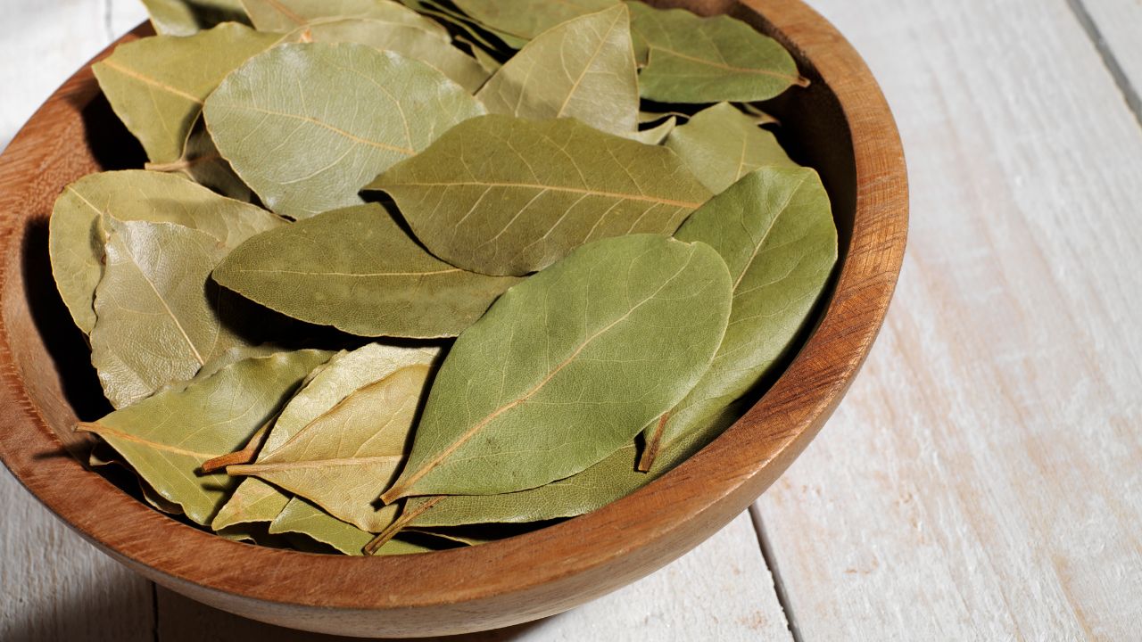 4 Fantastic Bay Leaf Substitutes
