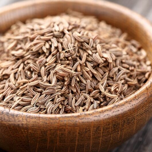 4 Substitutes For Caraway Seeds