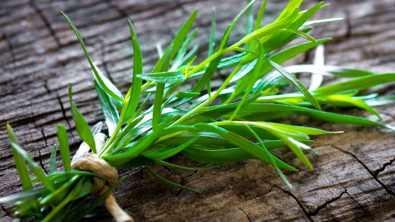 5 Tarragon Substitutes
