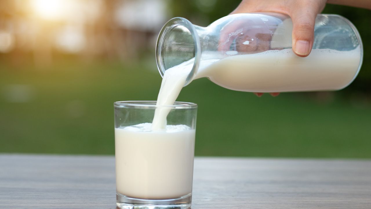 6 Milk Alternatives