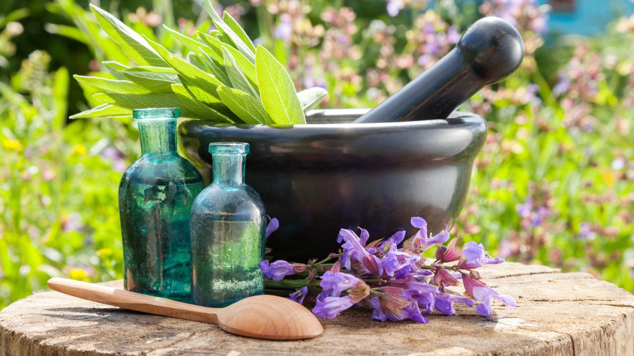6 Sage Substitutes