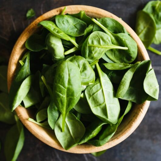 6 Substitutes For Basil