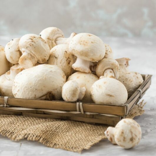 7 Cremini Mushroom Substitutes