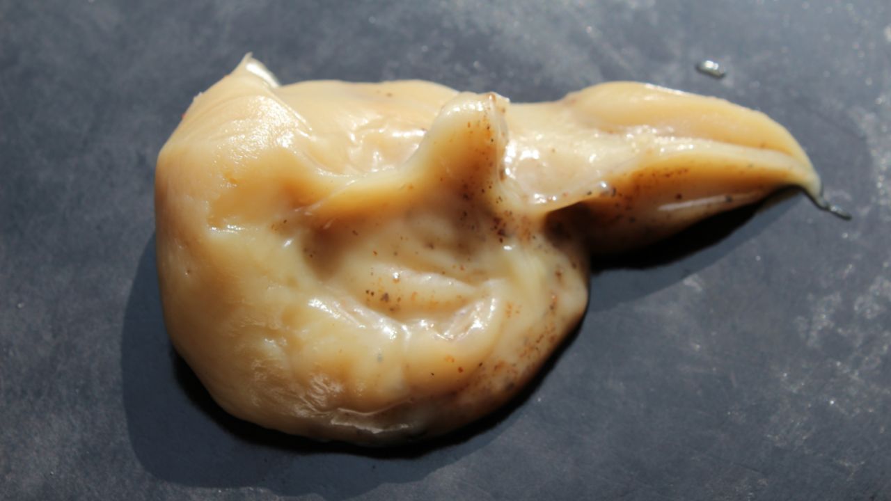 Bacon Grease