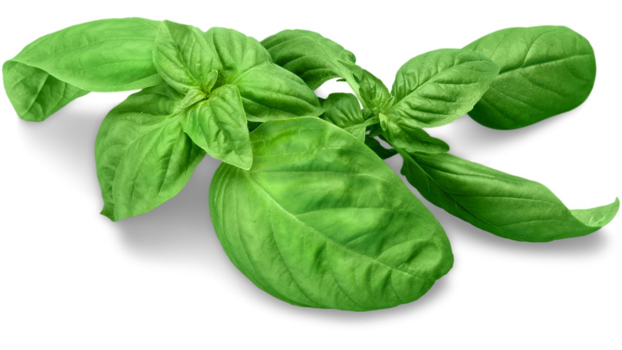 Basil (Fresh Or Dried)
