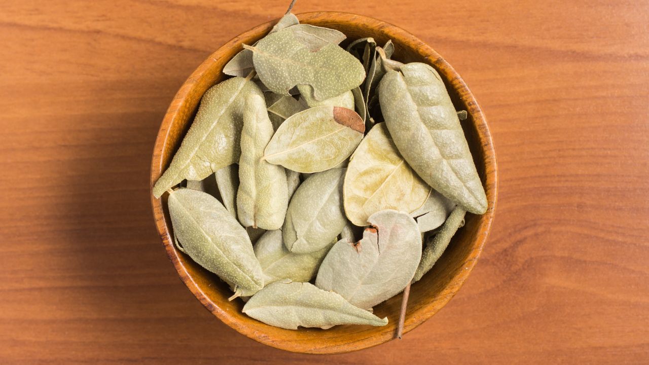 Boldo Leaves