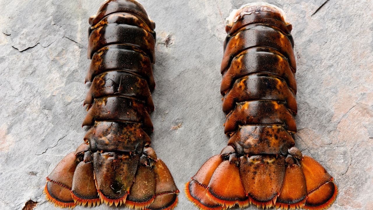 Can You Freeze Lobster Tails?