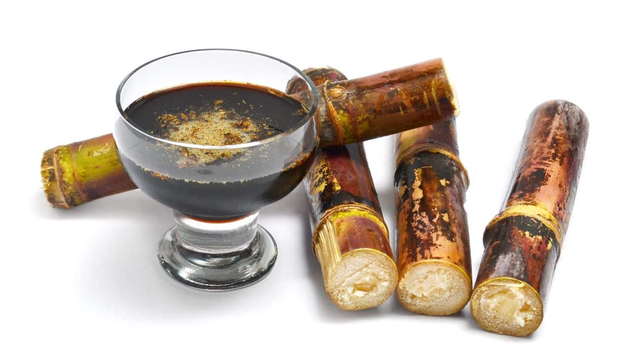 Cane Syrup