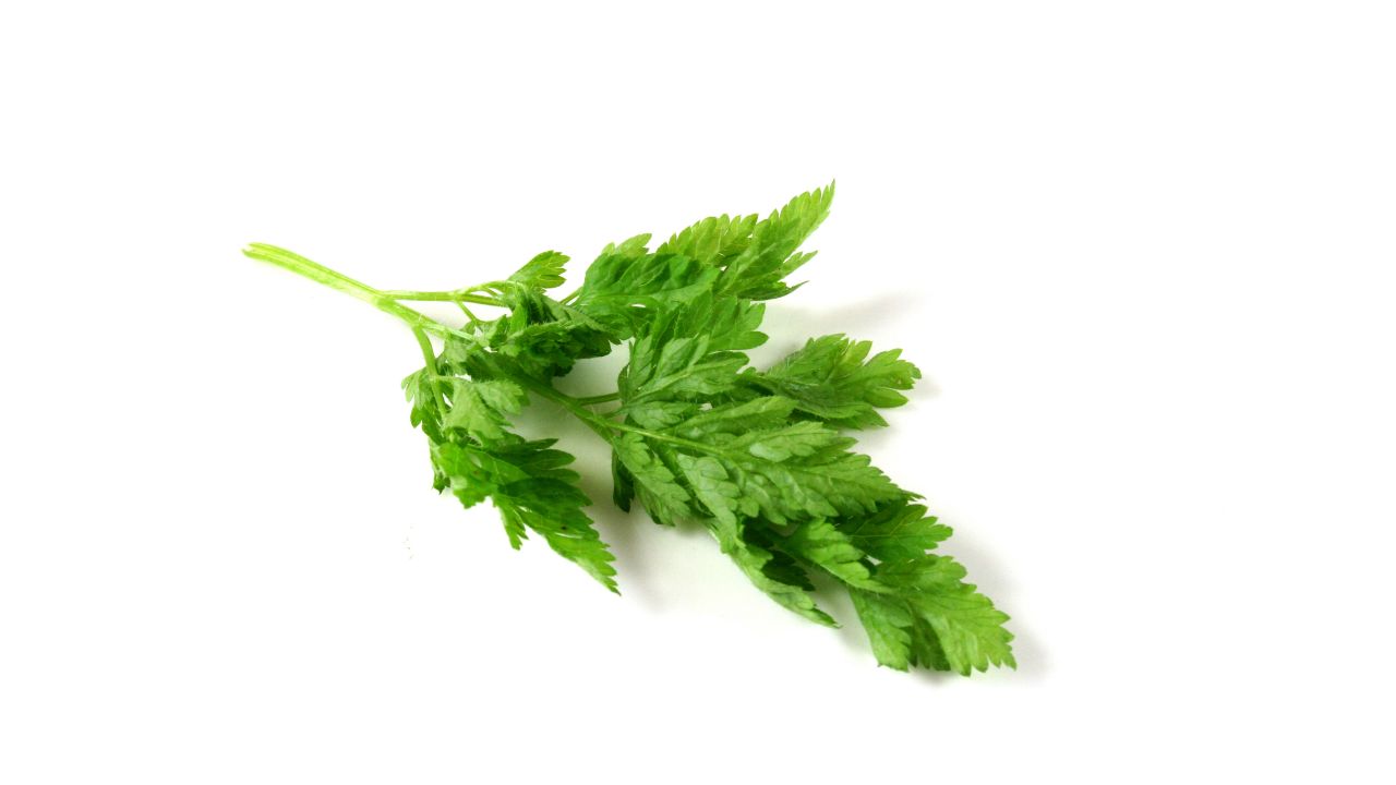 Chervil (2)