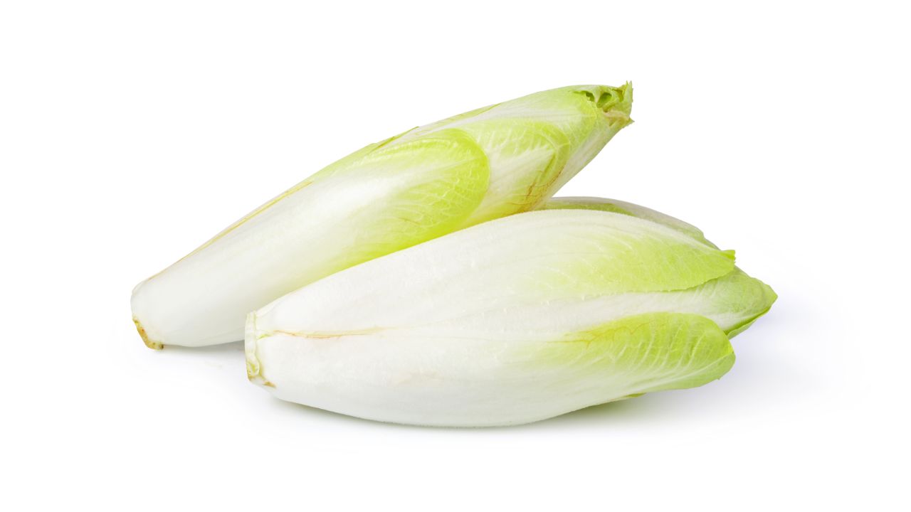 Endive