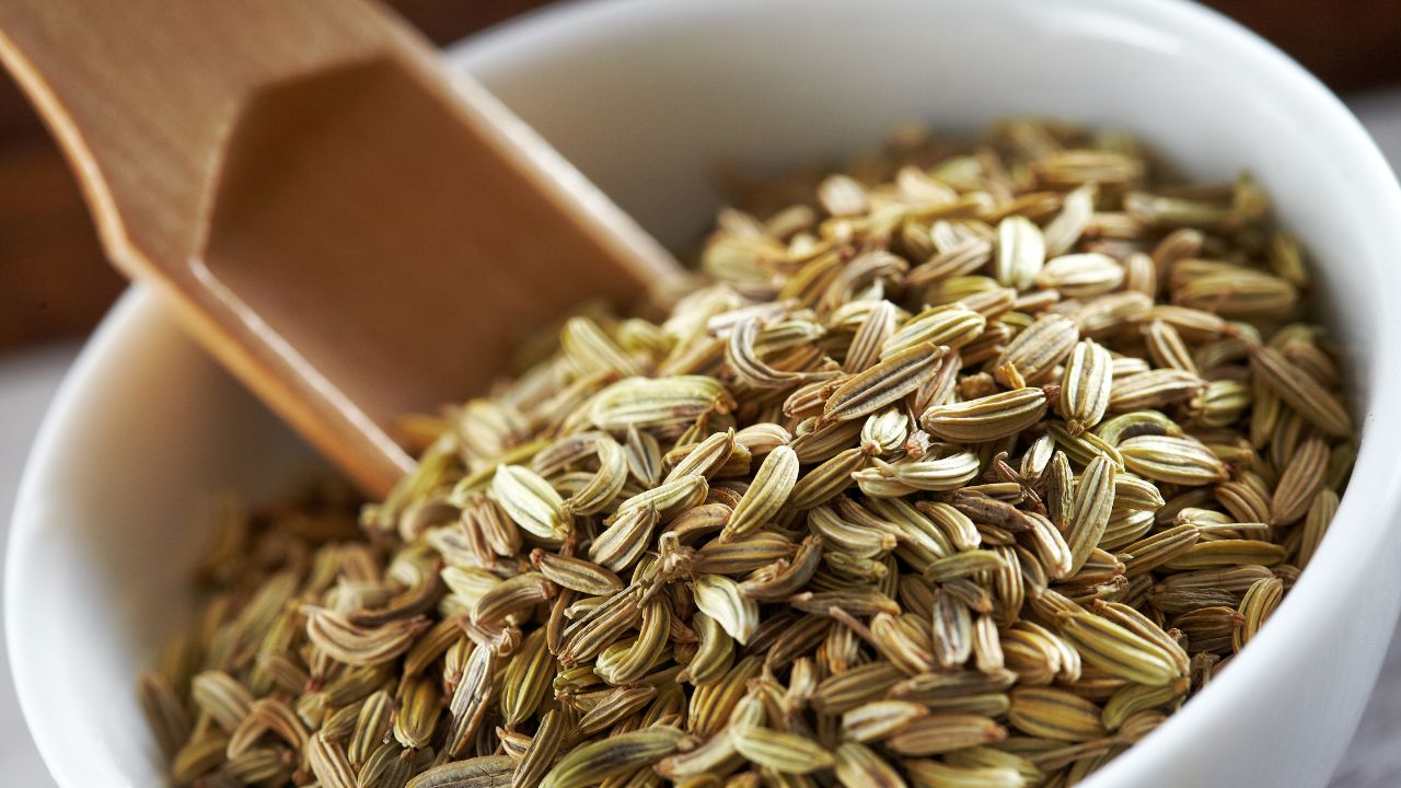 Fennel And Celery