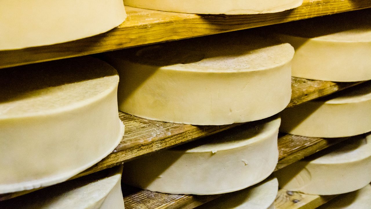 Fontina