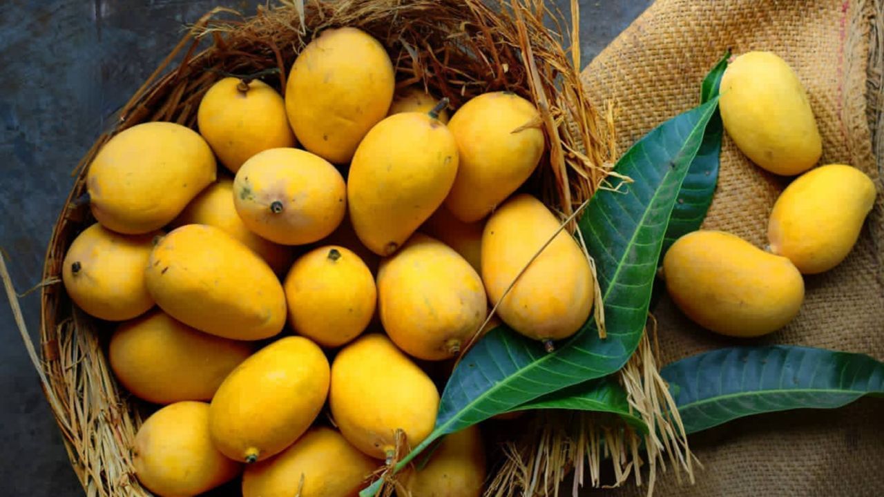 How To Store Mangoes?