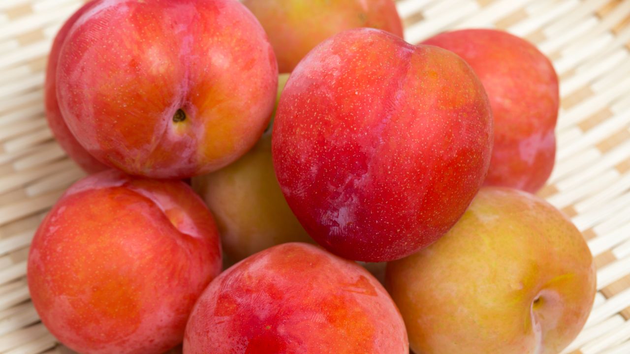 Japanese Plum