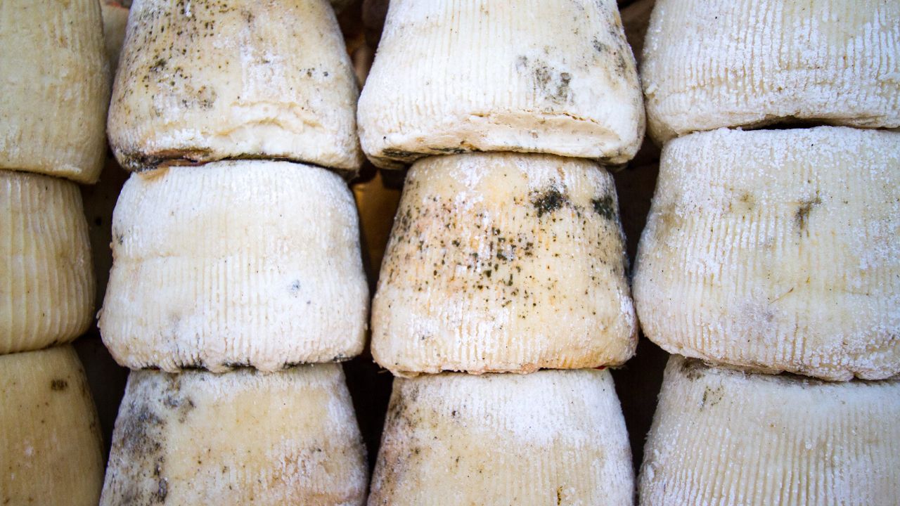 Ricotta Salata