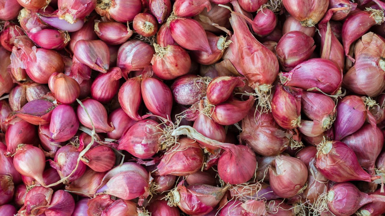 Shallots