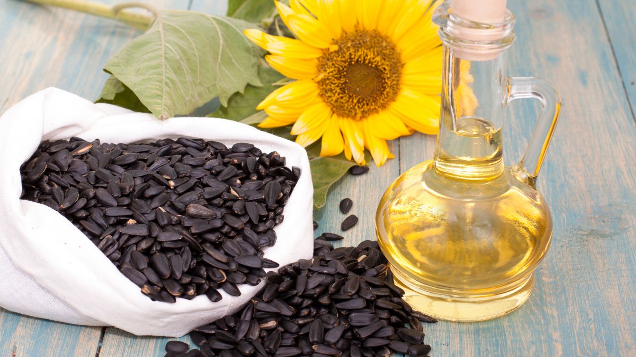 Sunflower Oil