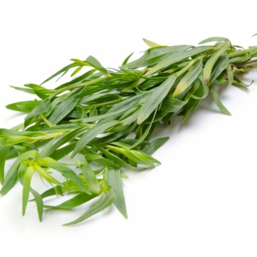 8 Tasty Substitutes For Parsley