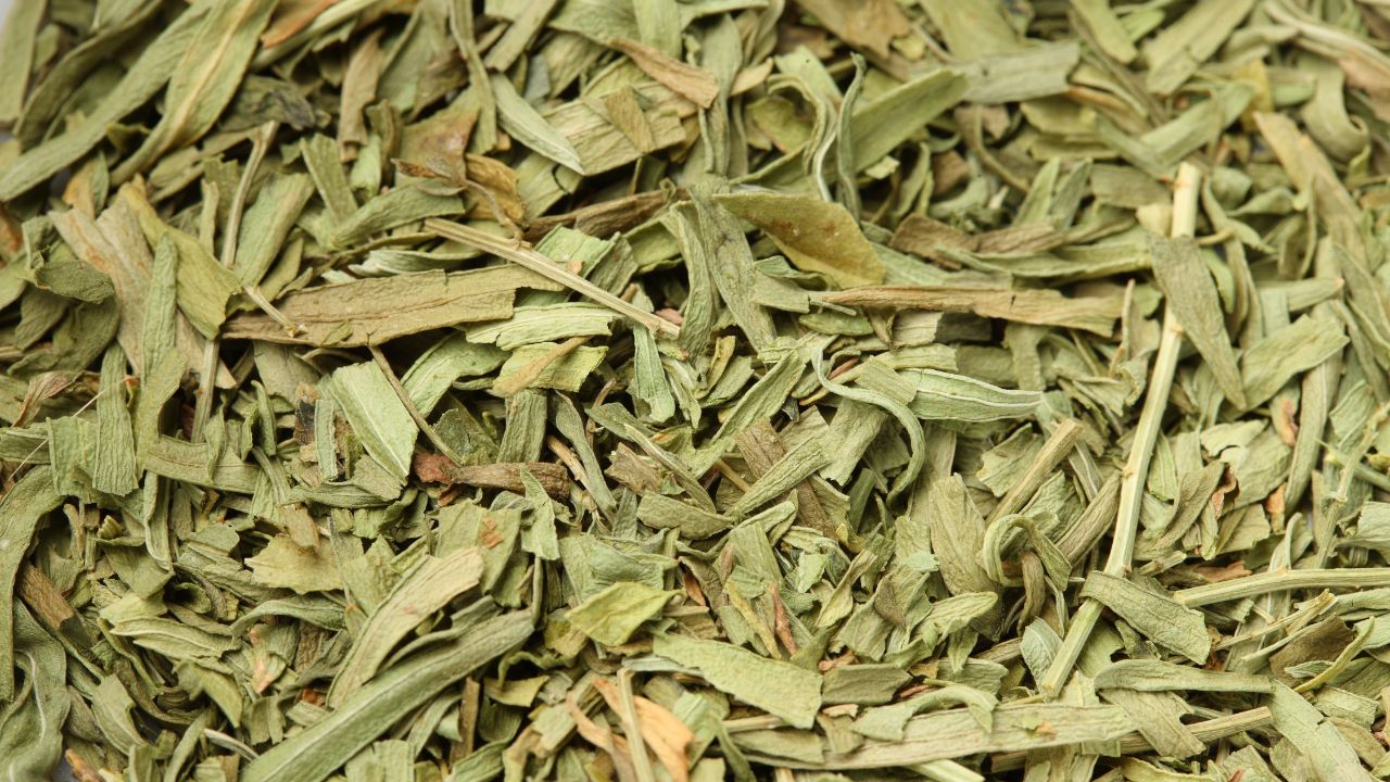 Tarragon