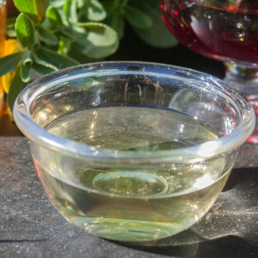 The 8 Best White Wine Vinegar Substitutes