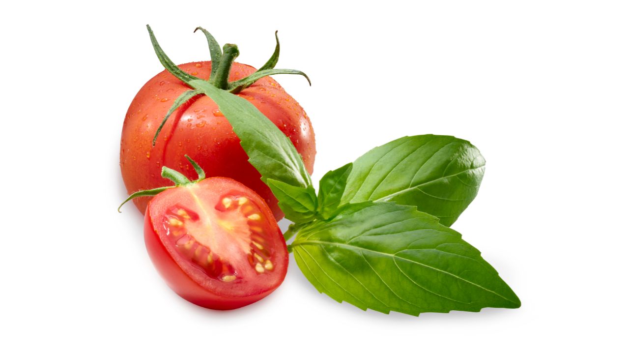 Tomato And Basil