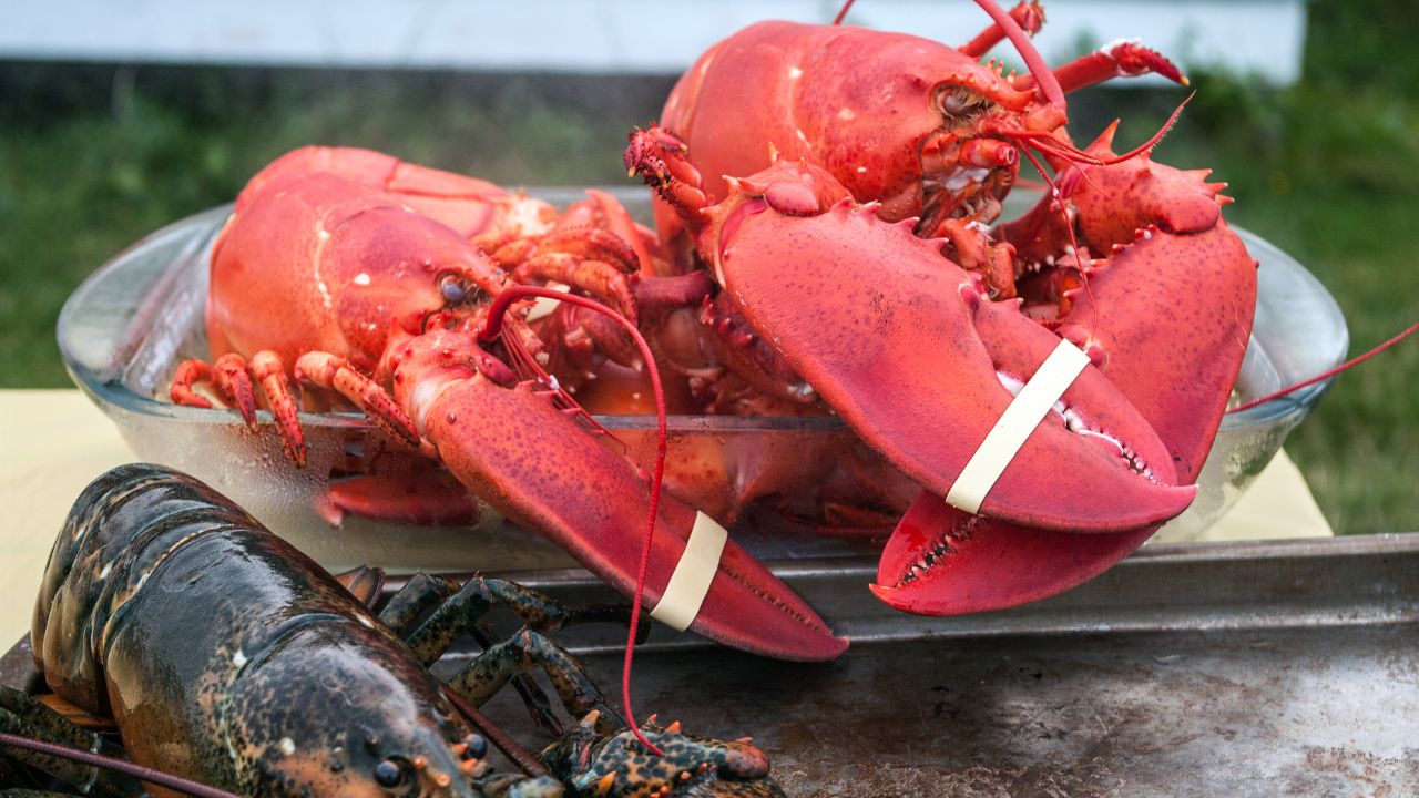 What Does Lobster Taste Like?