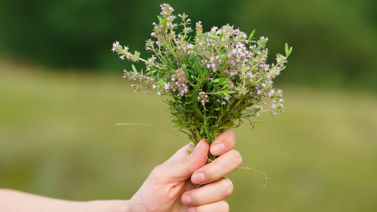 What Does Thyme Taste Like?