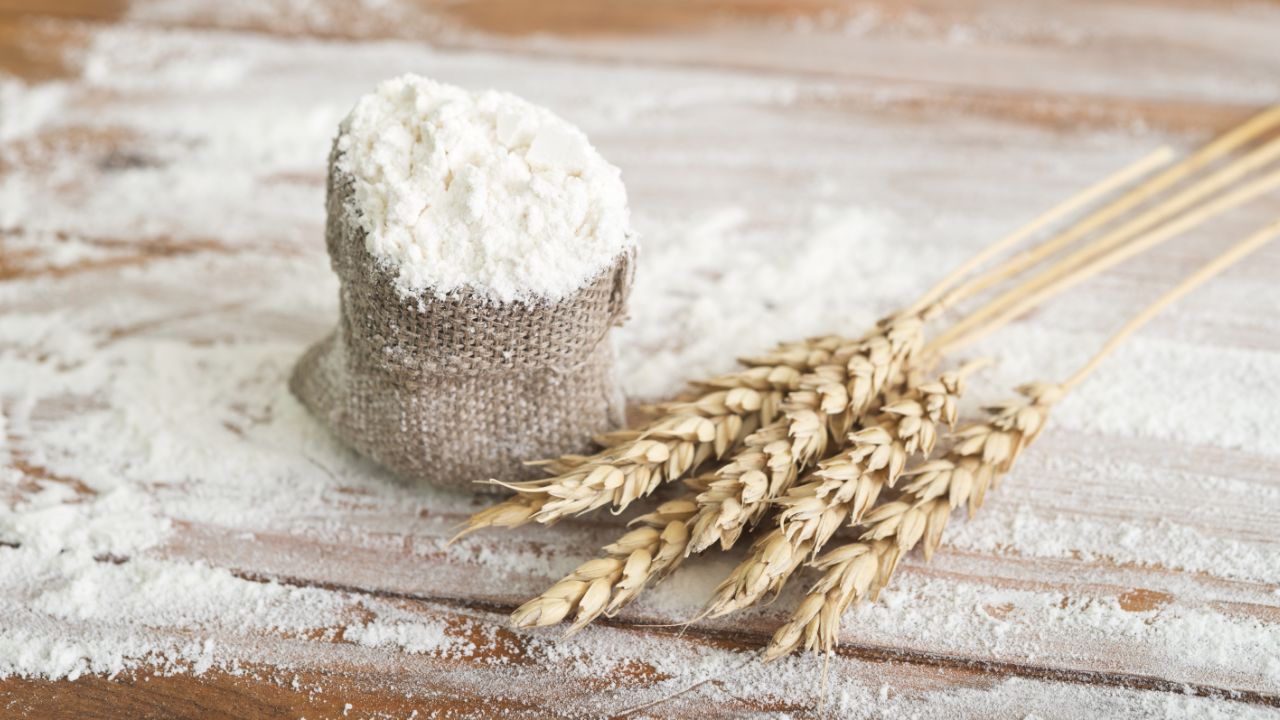 Wheat Flour