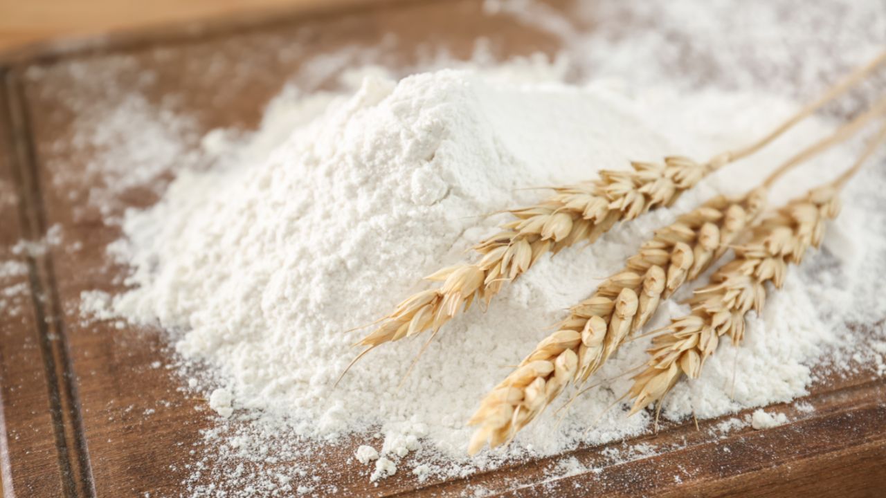 Wheat Flour