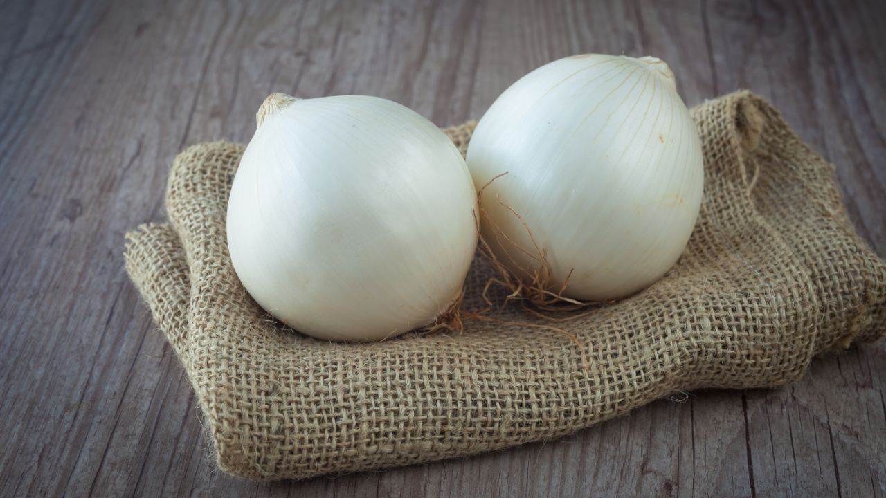 White Onion