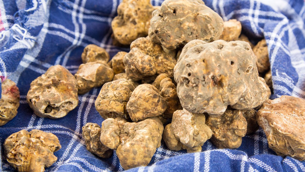 White Truffles