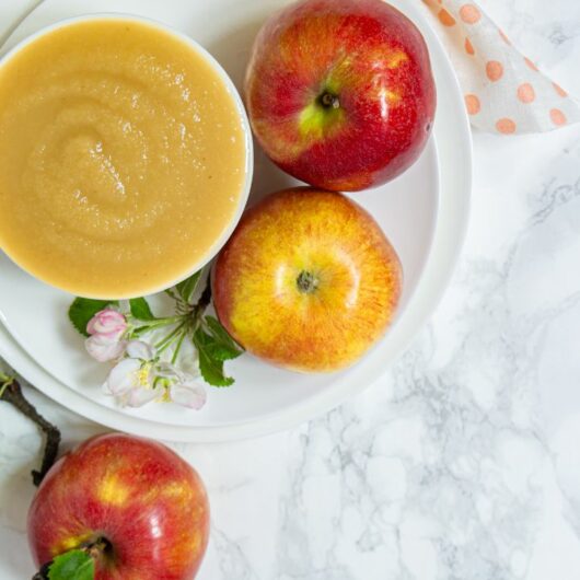 16 + Super Tasty Recipes Using Applesauce