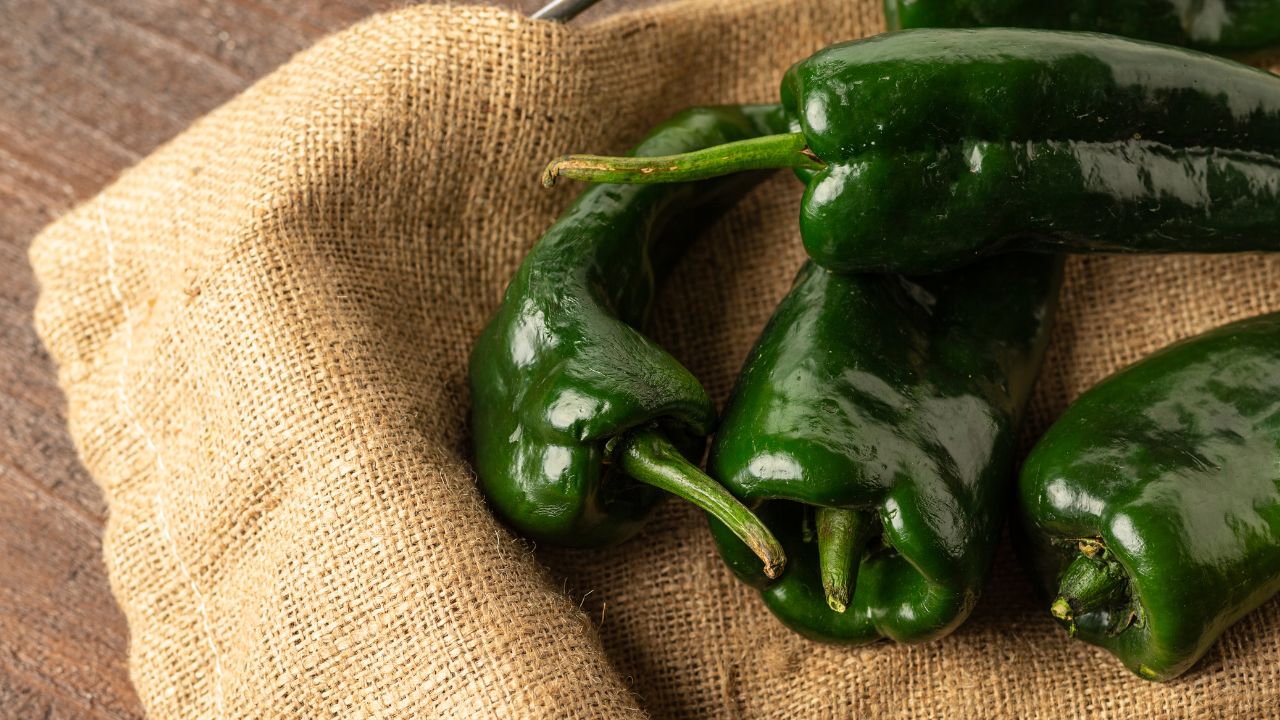5 Substitutes For Sports Peppers You Should Try Today