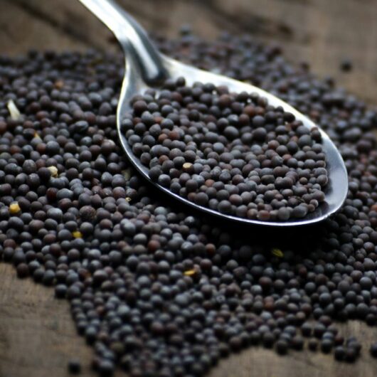 5 Substitutes You Should Try Instead Of Black Mustard Seeds
