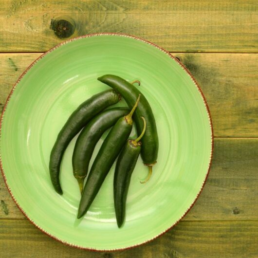 9 Alternatives To Serrano Peppers