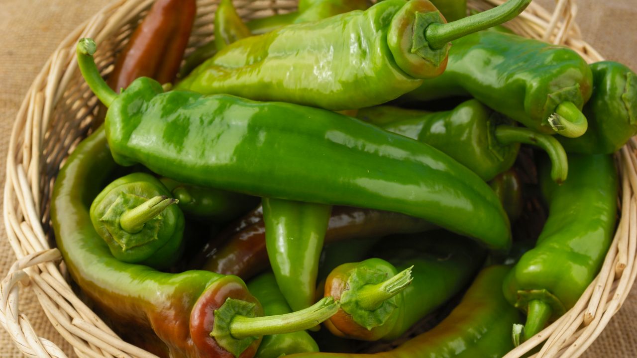 Anaheim Peppers