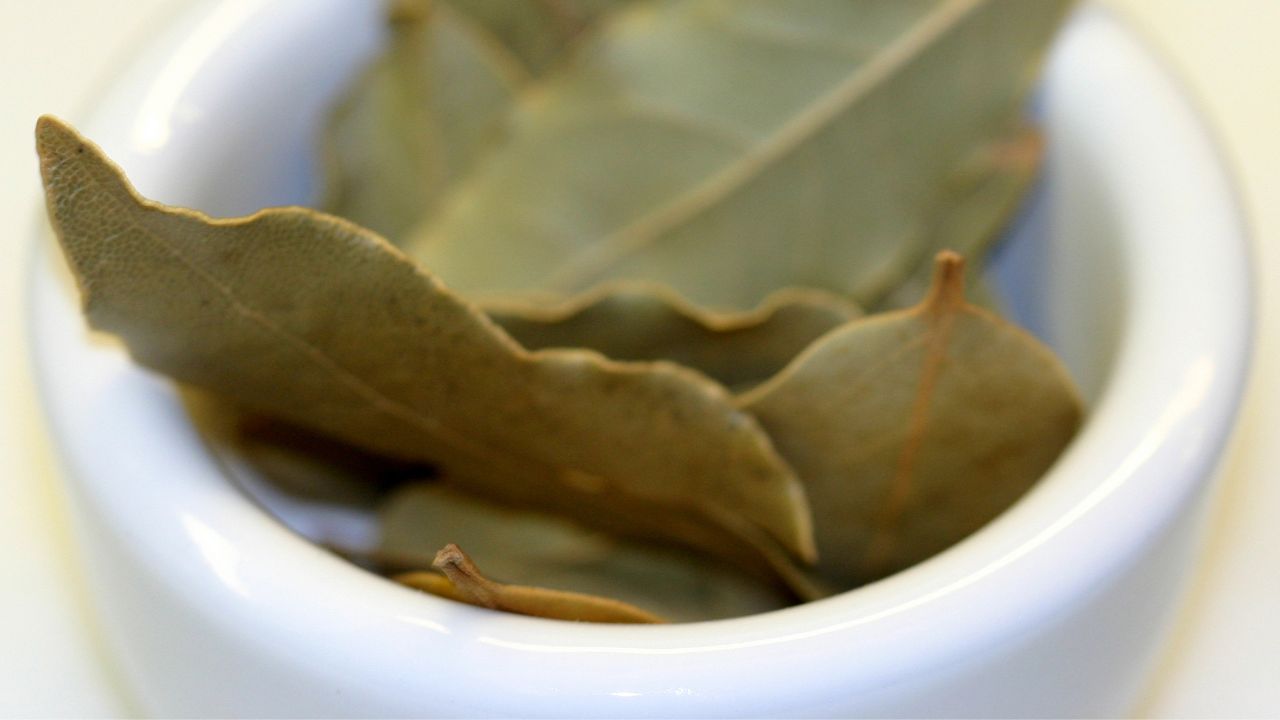 Bay Leaves