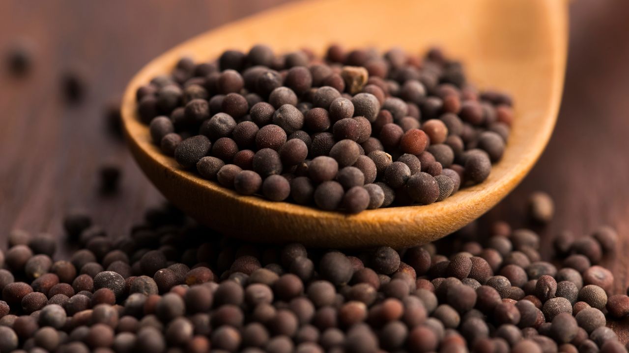 Brown Mustard Seeds