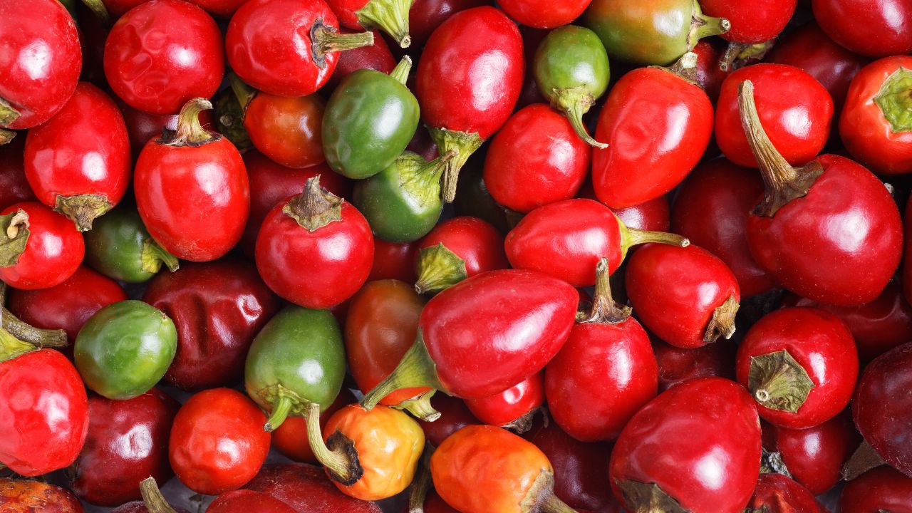 Cherry Peppers