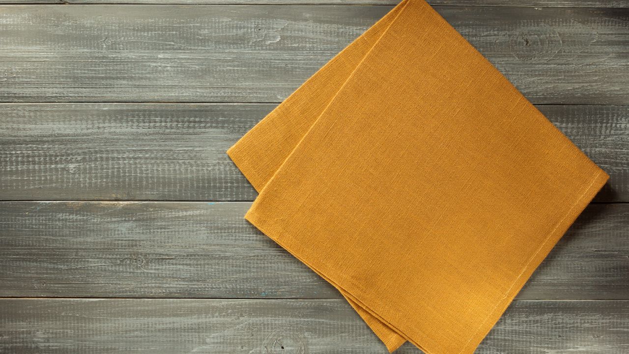 Cloth Napkin