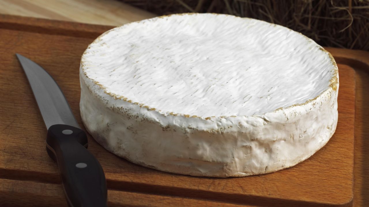 Coulommiers Cheese