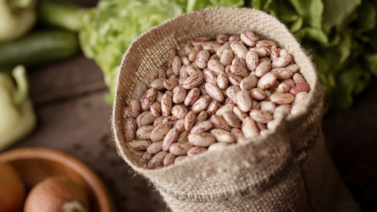 Dried Pinto Beans