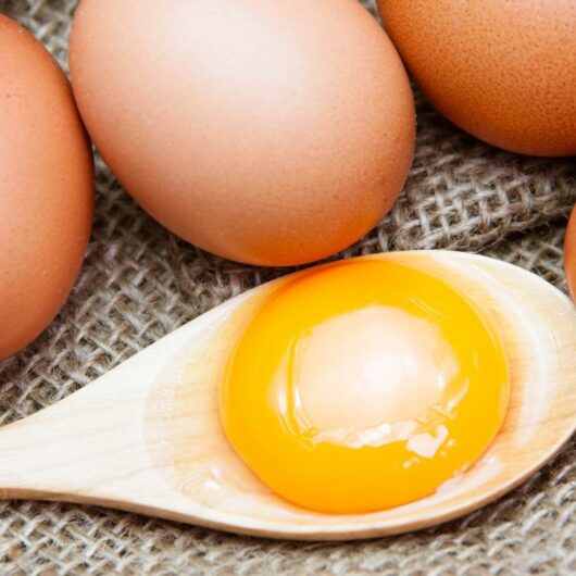 Egg Yolk Substitutes: 5 Top Picks