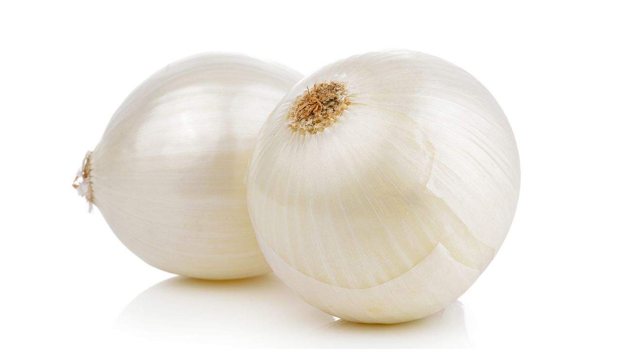 European White Onion
